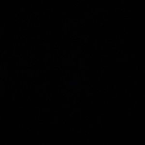 Meet your Posher, Savanna